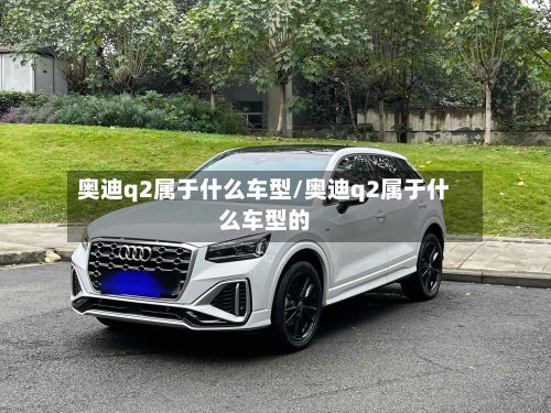 奥迪q2属于什么车型/奥迪q2属于什么车型的