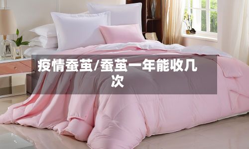 疫情蚕茧/蚕茧一年能收几次