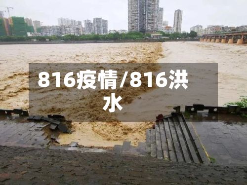 816疫情/816洪水