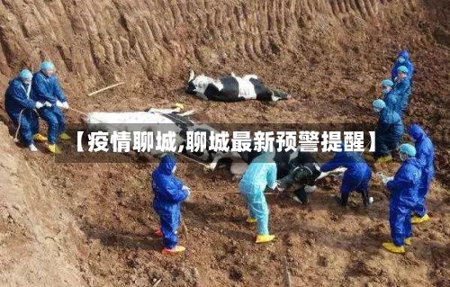 【疫情聊城,聊城最新预警提醒】