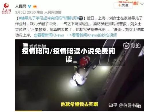疫情陪同/疫情陪读小说免费阅读