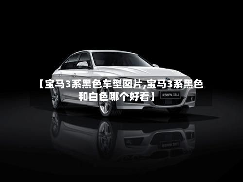 【宝马3系黑色车型图片,宝马3系黑色和白色哪个好看】