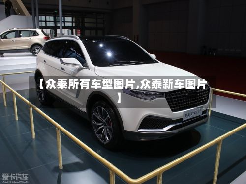 【众泰所有车型图片,众泰新车图片】-第3张图片