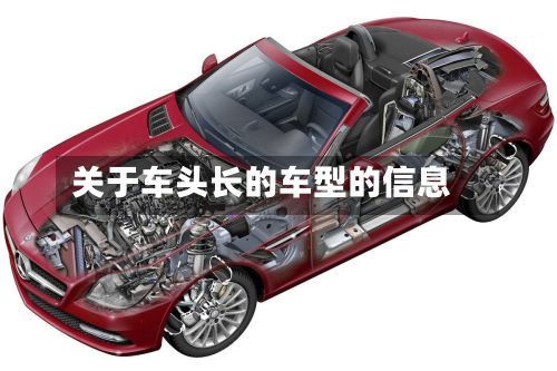 关于车头长的车型的信息