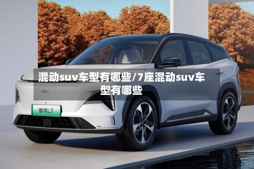 混动suv车型有哪些/7座混动suv车型有哪些-第3张图片