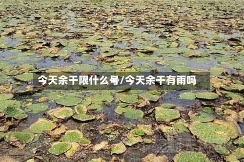 今天余干限什么号/今天余干有雨吗-第2张图片