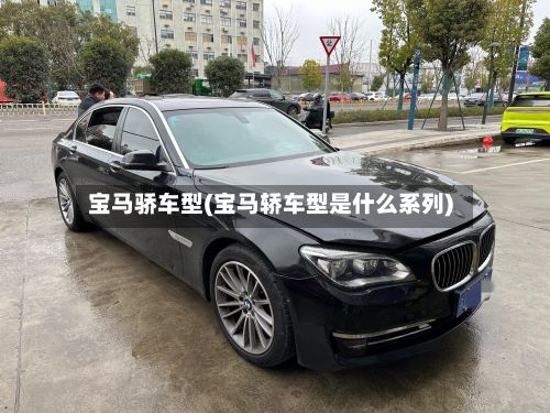 宝马骄车型(宝马轿车型是什么系列)