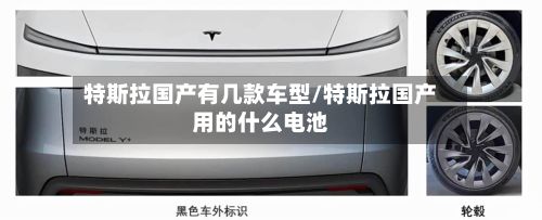 特斯拉国产有几款车型/特斯拉国产用的什么电池-第2张图片