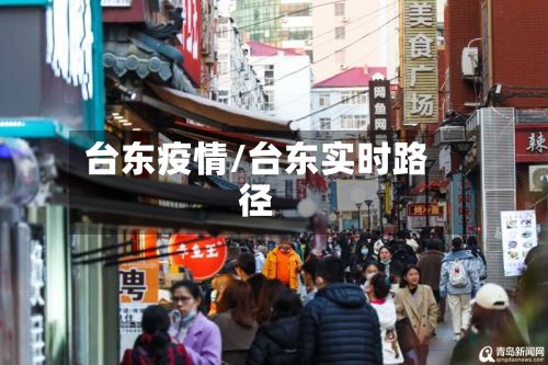 台东疫情/台东实时路径