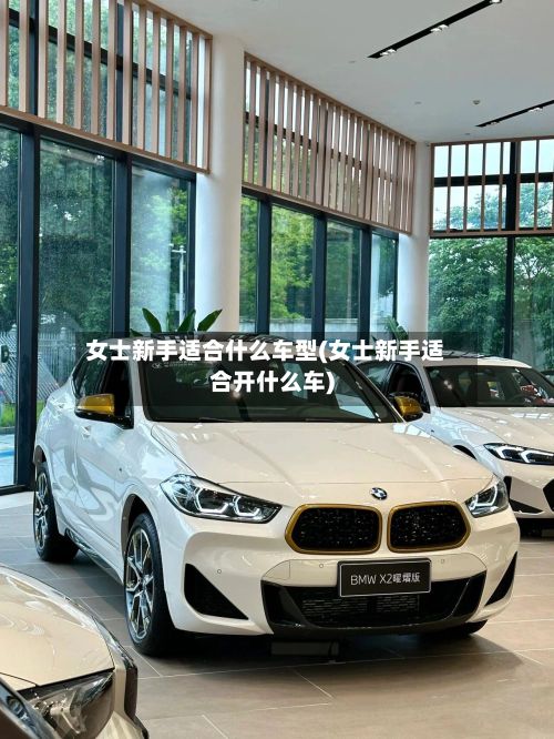 女士新手适合什么车型(女士新手适合开什么车)-第2张图片
