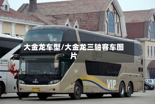 大金龙车型/大金龙三轴客车图片