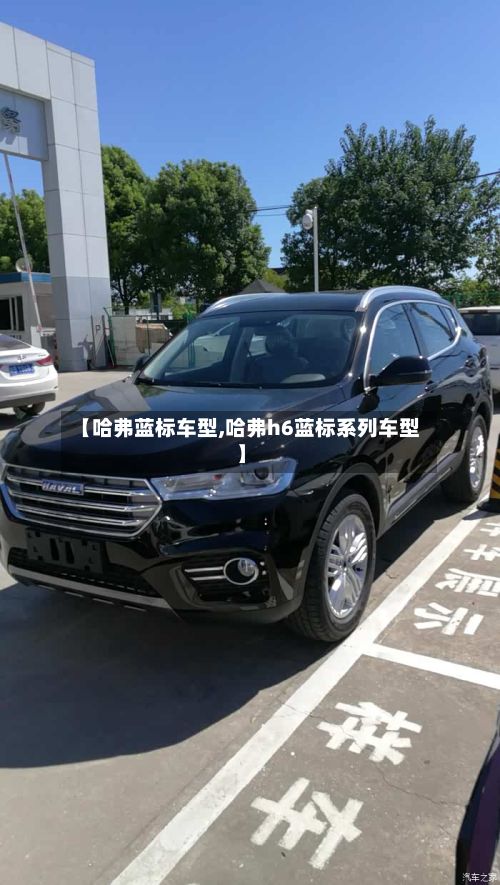 【哈弗蓝标车型,哈弗h6蓝标系列车型】-第2张图片