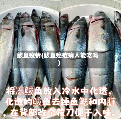鲅鱼疫情(鲅鱼癌症病人能吃吗)