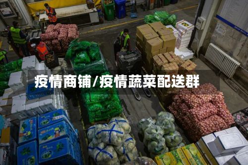 疫情商铺/疫情蔬菜配送群-第2张图片