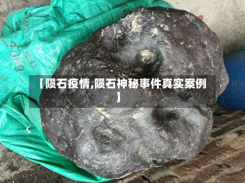 【陨石疫情,陨石神秘事件真实案例】