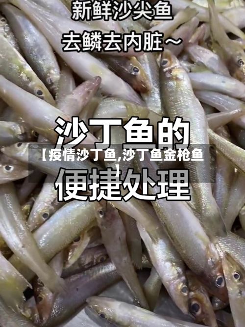 【疫情沙丁鱼,沙丁鱼金枪鱼】