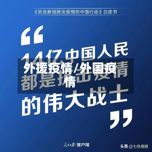 外援疫情/外国疫情