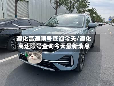 遵化高速限号查询今天/遵化高速限号查询今天最新消息-第2张图片