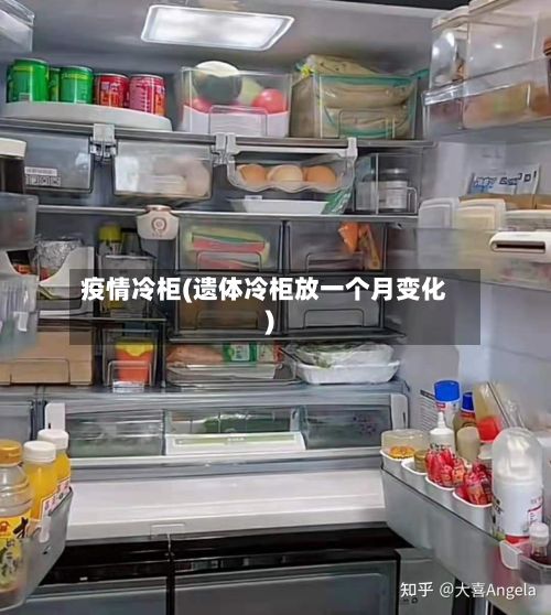 疫情冷柜(遗体冷柜放一个月变化)
