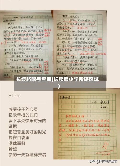 长缨路限号查询(长缨路小学所辖区域)