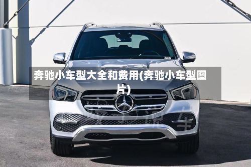奔驰小车型大全和费用(奔驰小车型图片)-第2张图片
