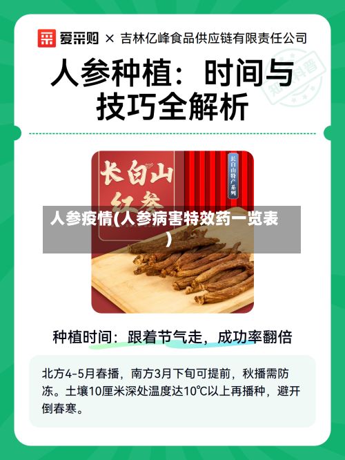 人参疫情(人参病害特效药一览表)-第2张图片