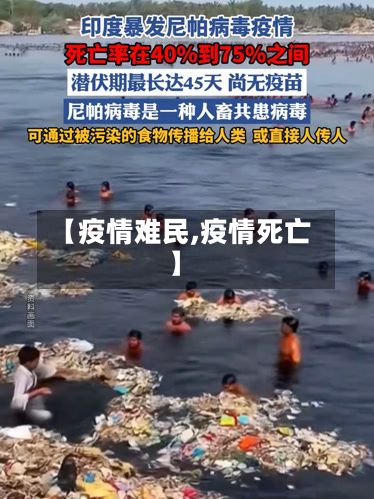 【疫情难民,疫情死亡】