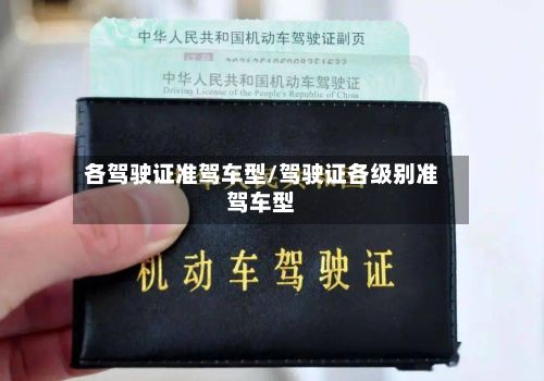 各驾驶证准驾车型/驾驶证各级别准驾车型-第2张图片