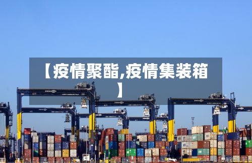 【疫情聚酯,疫情集装箱】-第3张图片
