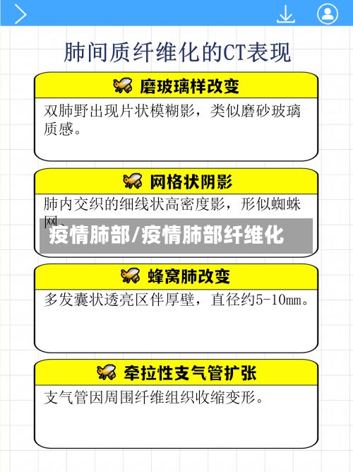 疫情肺部/疫情肺部纤维化