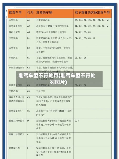 准驾车型不符处罚(准驾车型不符处罚图片)