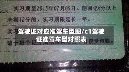 驾驶证对应准驾车型图/c1驾驶证准驾车型对照表
