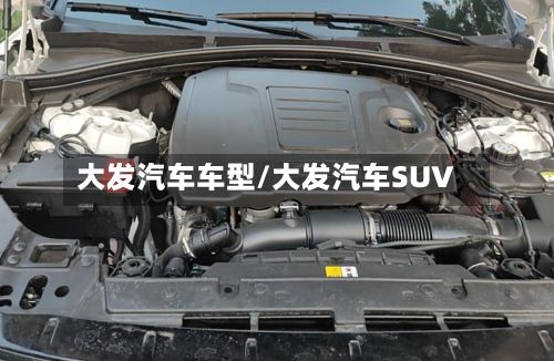 大发汽车车型/大发汽车SUV-第2张图片