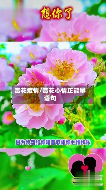 赏花疫情/赏花心情正能量语句