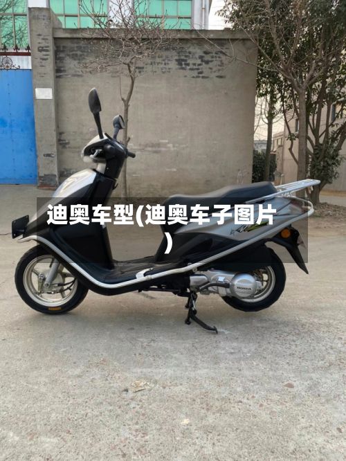 迪奥车型(迪奥车子图片)
