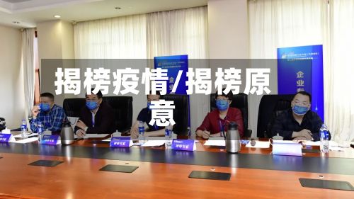 揭榜疫情/揭榜原意