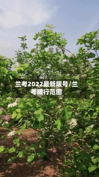 兰考2022最新限号/兰考限行范围-第3张图片