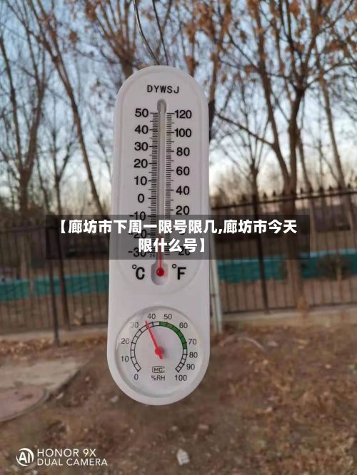【廊坊市下周一限号限几,廊坊市今天限什么号】