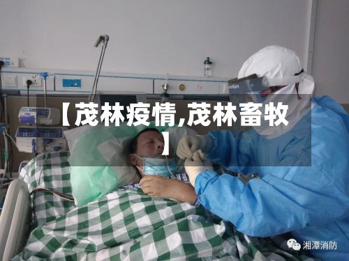 【茂林疫情,茂林畜牧】-第2张图片