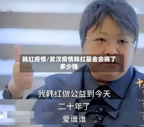 韩红疫情/武汉疫情韩红基金会捐了多少钱-第2张图片