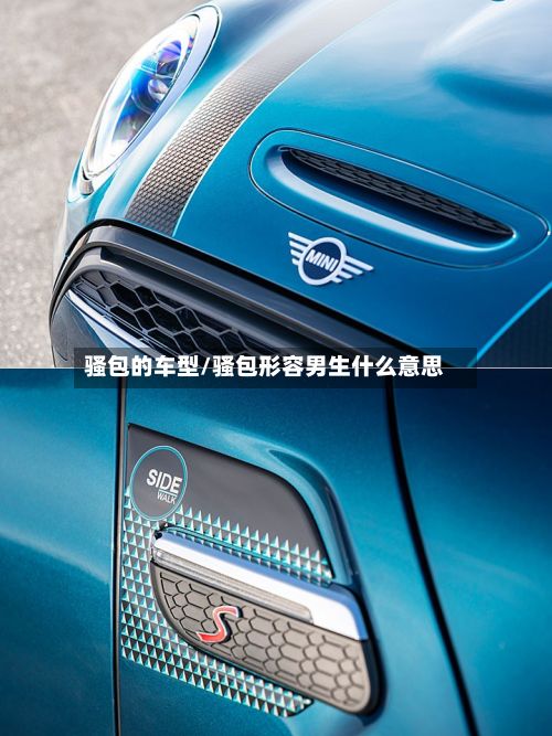 骚包的车型/骚包形容男生什么意思