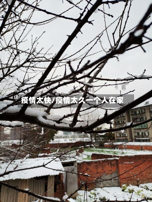 疫情太快/疫情太久一个人在家-第2张图片