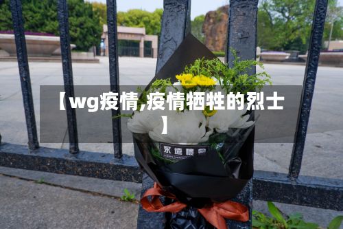 【wg疫情,疫情牺牲的烈士】-第2张图片