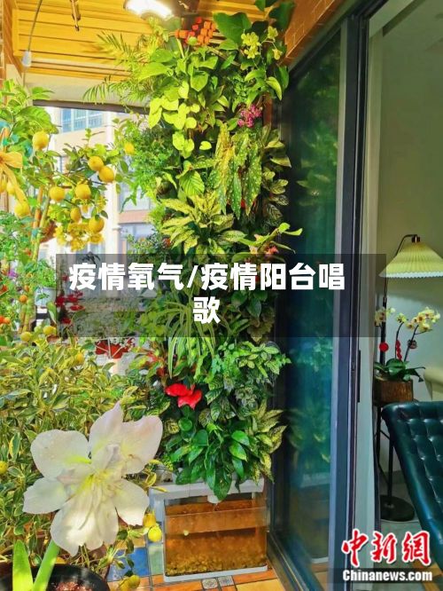 疫情氧气/疫情阳台唱歌-第3张图片