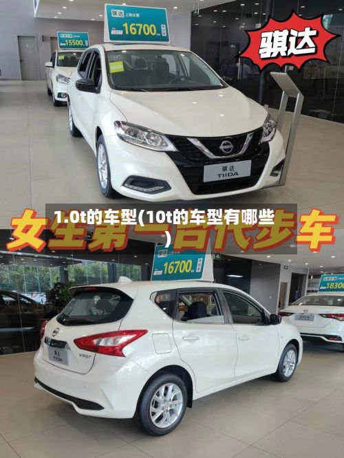 1.0t的车型(10t的车型有哪些)
