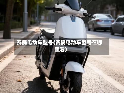 赛鸽电动车型号(赛鸽电动车型号在哪里看)-第3张图片