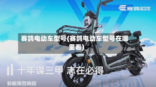 赛鸽电动车型号(赛鸽电动车型号在哪里看)