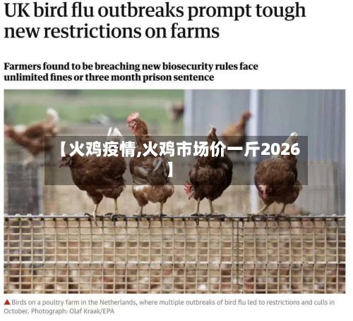 【火鸡疫情,火鸡市场价一斤2026】-第2张图片