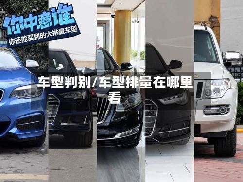 车型判别/车型排量在哪里看-第3张图片