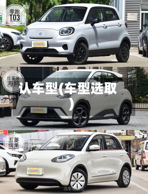 认车型(车型选取)-第2张图片